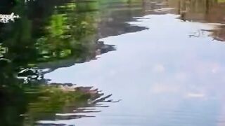 Crystal Clear Canal Water Reveals Magical Pink Plants Underwater - Hidden Paradise!