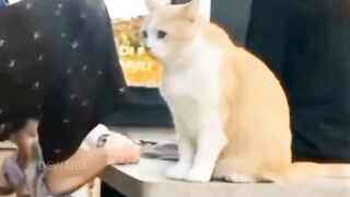 hati hati dah sama suara fals kalian haha