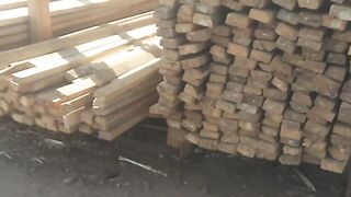 Timber on chikangawa forest