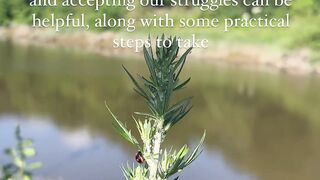 After Every Failure, Move Forward - Don't Wait for Luck, Create It | NaveenTechTalks | n4ve4nx00