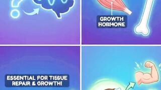 Why Slow Waves Sleep is Essensial for Tissue Growth?