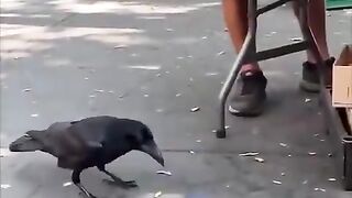 This clip's from r/isthisAI.