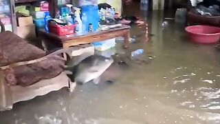 Severe Flooding Inside a House – Water Covers the Living Room 🌊