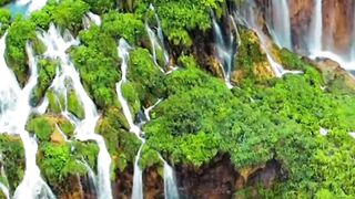 Beautiful nature 385