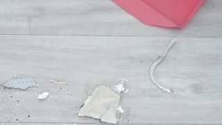 Never Bend Down For Crumbs Again! This Touchless Dustpan Sucks Them Up! #shorts