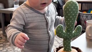 Baby Meets Talking Cactus