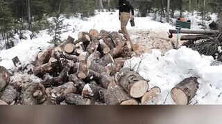 A YEARS SUPPLY OF FIREWOOD?! 😱 #shorts