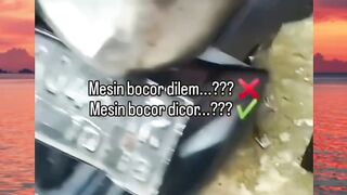 teka teki Brainroot ini