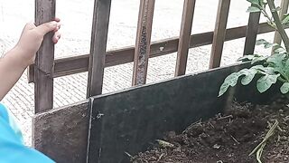 Gardening 7