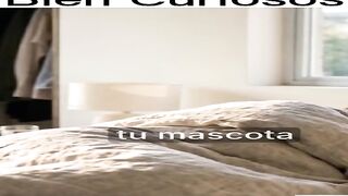 • ¿Tu próxima mascota? Un cuervo o un pulpo