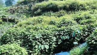 Look the water