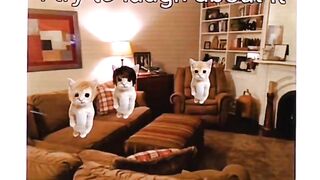 😂 Cat FAILS That Will Make You Laugh Out Loud! 🐱💥