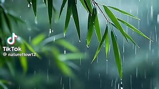 nature sound for relaxation 1