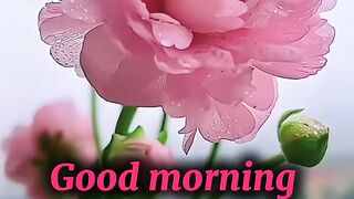 Have a wonderful day