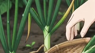 Harvest Vegetables
