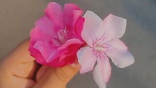Flower 65