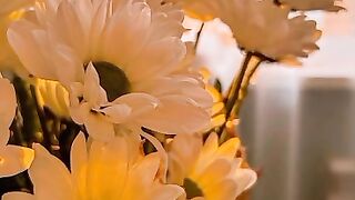 Video for morning vibes