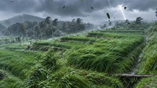 Thunderstorm Over Tropical Rice Terraces