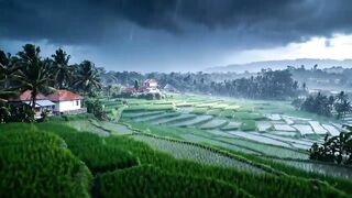 Thunderstorm over Terraced Rice Fields