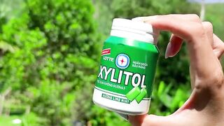 Survival Skills_ SMART idea and USEFUL in forest #bushcraft #camping #outdoors #survival35 2
