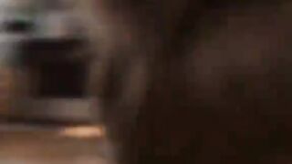 Novelas das frutas 302