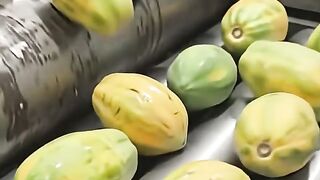 Papayas becoming luxury soap bars👍❤️