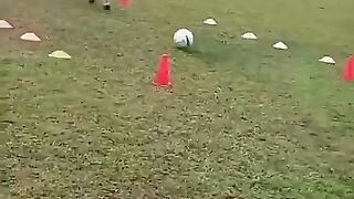 Training 14