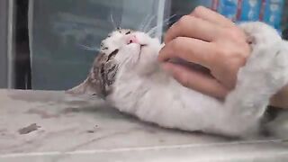 The cat scratches my arm with its claws and bites me.