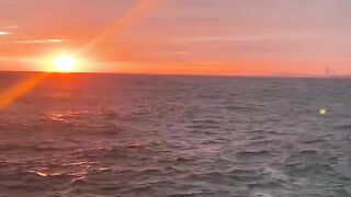 Beautiful Ocean Sunset 🌅 | Peaceful Waves & Golden Hour Aesthetic #Shorts