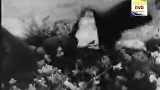 Ae Baharo Gawah Rehna Saiqa YouTube Legend Muhammad Ali #febpostshorts# #febpostvideos# #world# #oldisgold#