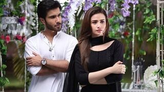 Sana javed and Feroz Khan Status