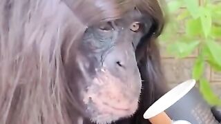 Very funny video ????