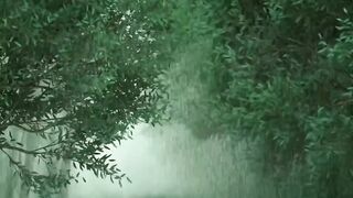 Tropical Thunder ⛈️ Storm