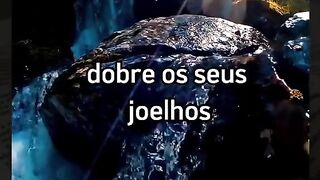 Motivaçaodiaria