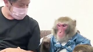Best latest funny video new 2023
