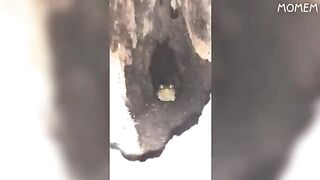 if you laugh, you fail
