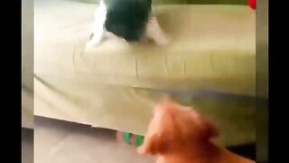 Try not to laugh