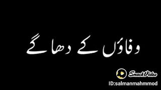Sero shire wali video