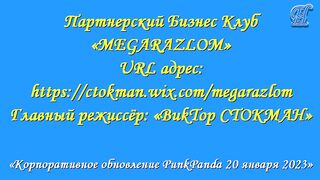 «Корпоративное обновление PunkPanda 20 января 2023 год»