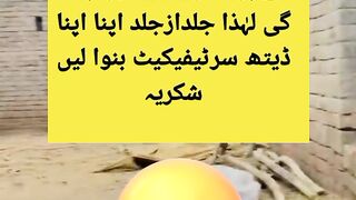 Funny Status