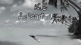 Best video