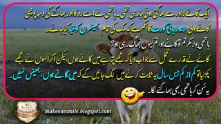 Best Funny Jokes New // Aaj Ka Lateefah Urdu