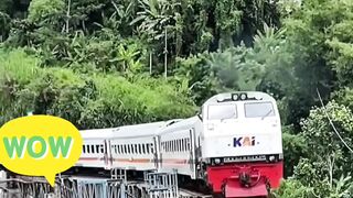 Aamazee train