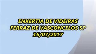 584 ) ENXERTIA DE FENDA CHEIA
