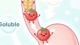 How Fiber Diversity Supports a Balanced Mood Microflora>