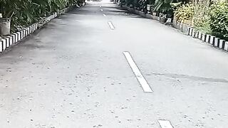A Peaceful Road Surrounded by Lush Tropical Greenery 🌴 | Nature Walk