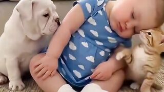 CUTEST BABY AND CAT AND DOG FUNNY VIDEO