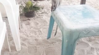 Kwale kenya 3