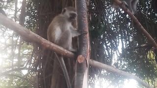 Mambo poa kenya