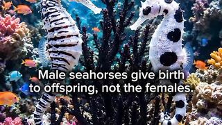 Mind-Blowing Facts About Seahorses 🌊